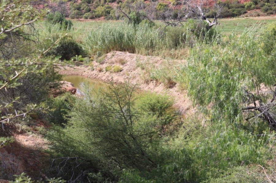 Commercial Property for Sale in Oudtshoorn Rural Western Cape
